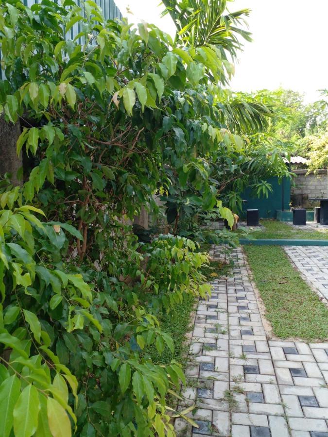 Thomasha Homestay Уэллавайя Экстерьер фото