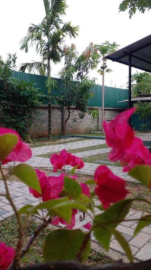 Thomasha Homestay Уэллавайя Экстерьер фото