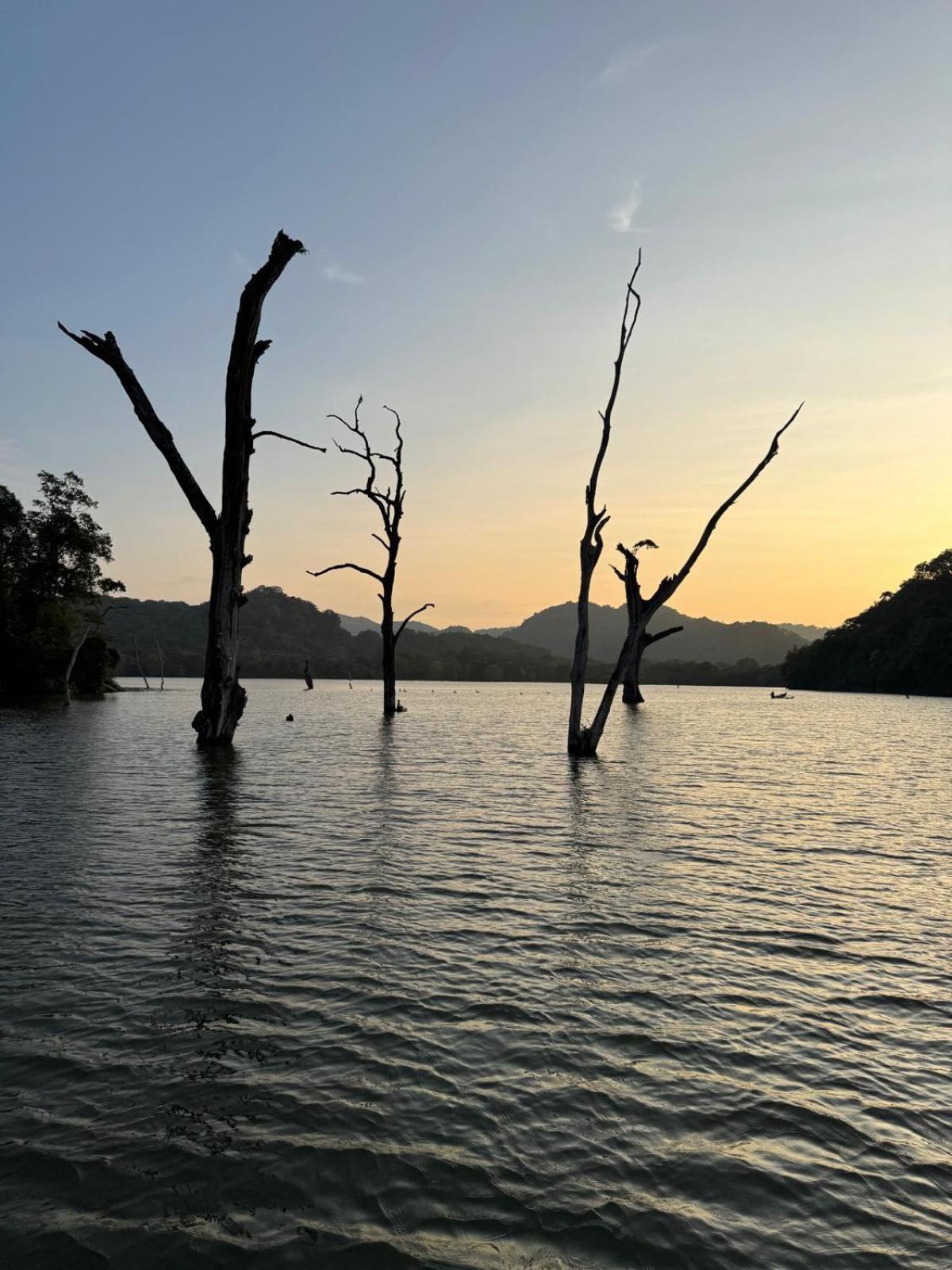 Thomasha Homestay Уэллавайя Экстерьер фото